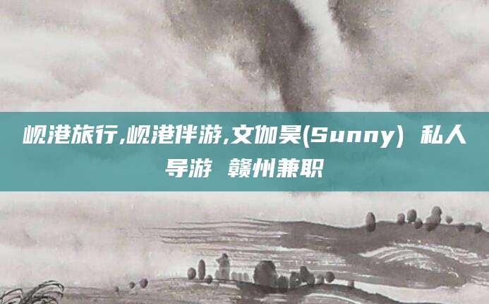 四平岘港旅行,岘港伴游,文伽昊(Sunny) 私人导游 赣州兼职