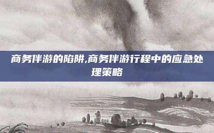 四平商务伴游的陷阱,商务伴游行程中的应急处理策略